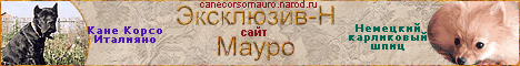 Сайт Эксклюзив-Н Мауро